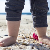 "Conchas" | Criação d'Orfeu AC 2015 | Foto © Ana Filipa Flores