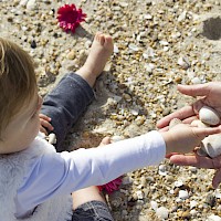 "Conchas" | Criação d'Orfeu AC 2015 | Foto © Ana Filipa Flores