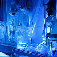 Ensaios Conchas | 04 abril 2015 @ Museu Marítimo de Ílhavo | Foto © Ana Filipa Flores (d'Orfeu AC)