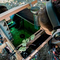 Árvore-Nuvem | Festival i! 2024, Águeda | Foto © Diogo Filipe Morgado